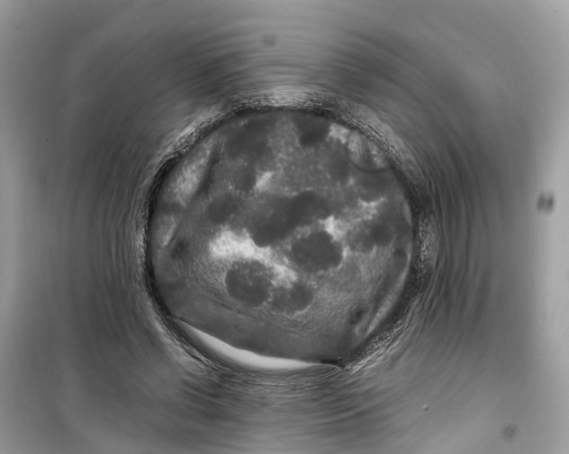 X0000099310542200805231405