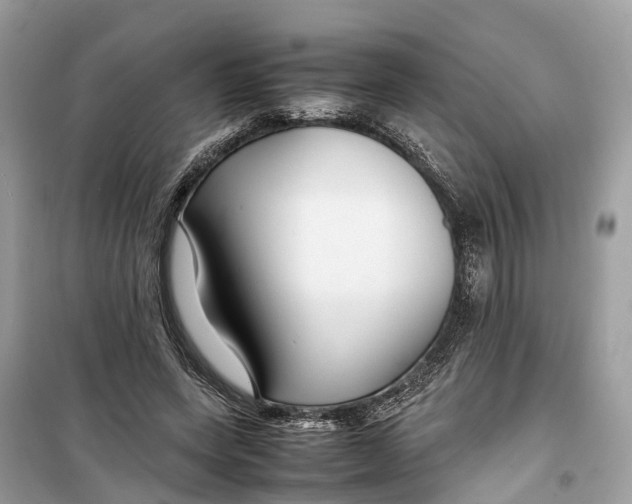 X0000099310543200805231405