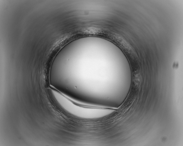 X0000099310544200805231405