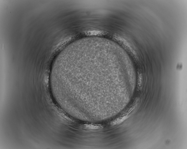 X0000099310545200805231405