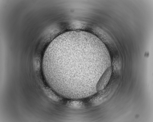 X0000099310546200805231405