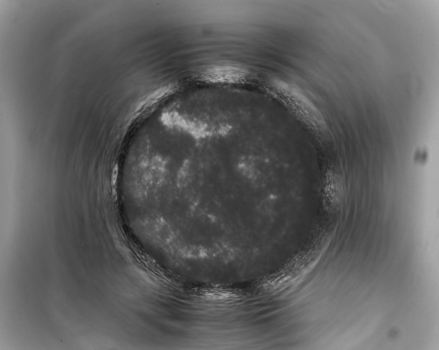 X0000099310547200805231405