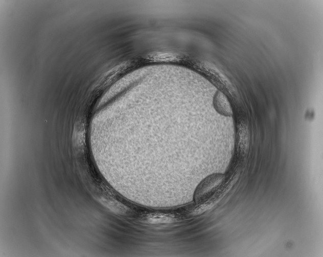 X0000099310549200805231405