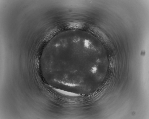 X0000099310551200805231405