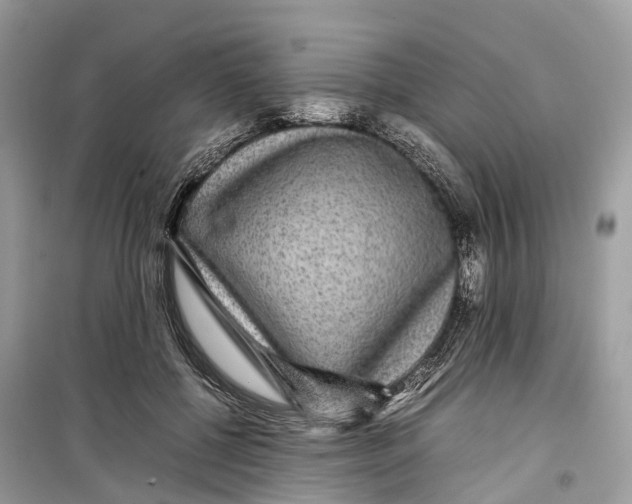 X0000099310552200805231405