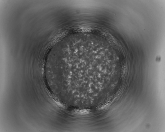 X0000099310553200805231405