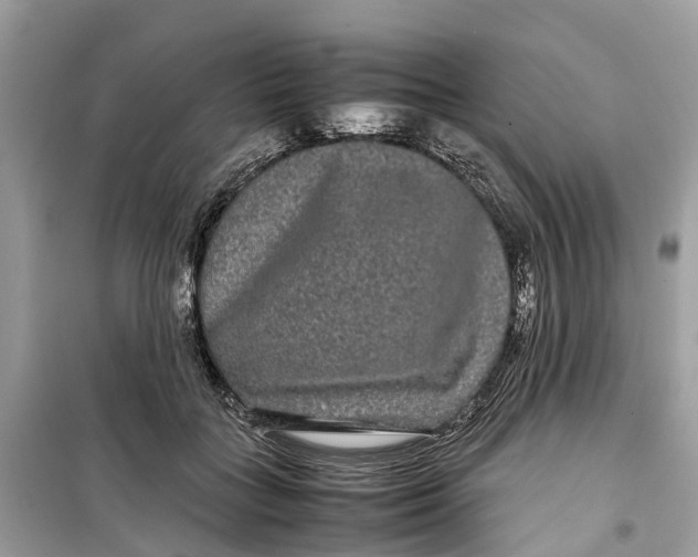 X0000099310555200805231405