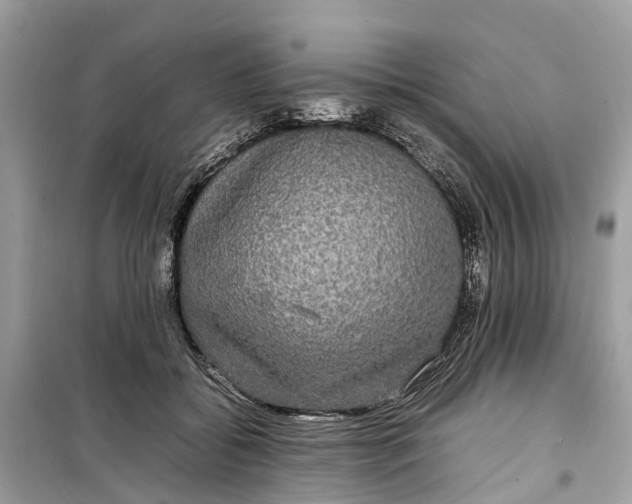 X0000099310556200805231405