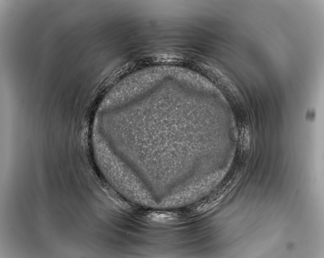 X0000099310557200805231405