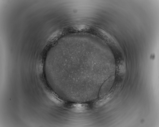 X0000099310558200805231405