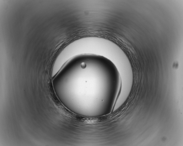 X0000099310560200805231405