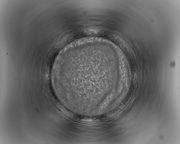 X0000099310561200805231405