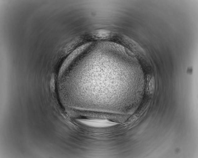 X0000099310562200805231405