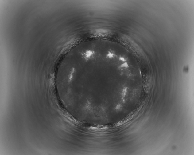 X0000099310563200805231405