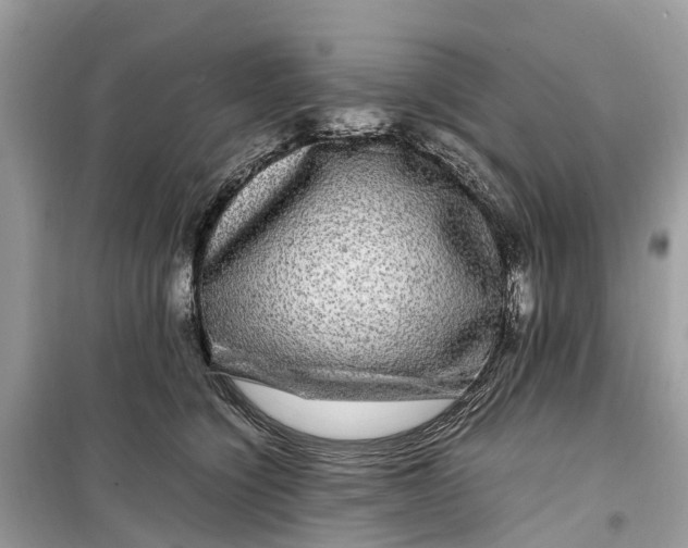 X0000099310564200805231406