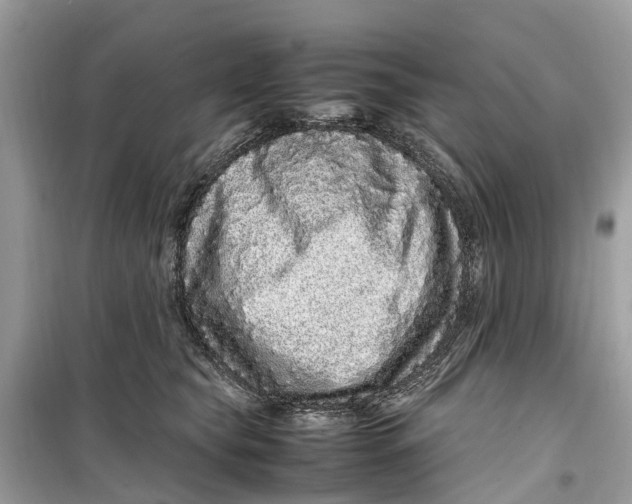 X0000099310565200805231406