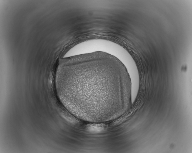 X0000099310567200805231406