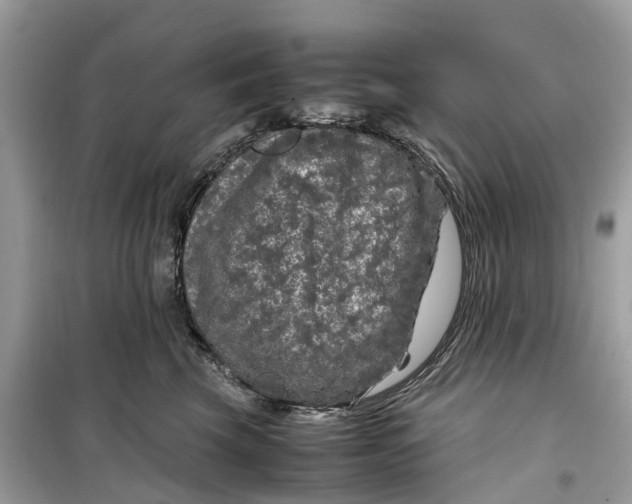 X0000099310569200805231406