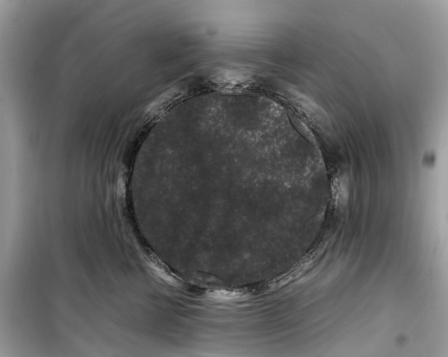 X0000099310570200805231406