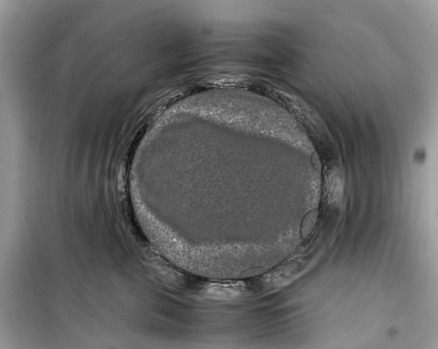 X0000099310571200805231406