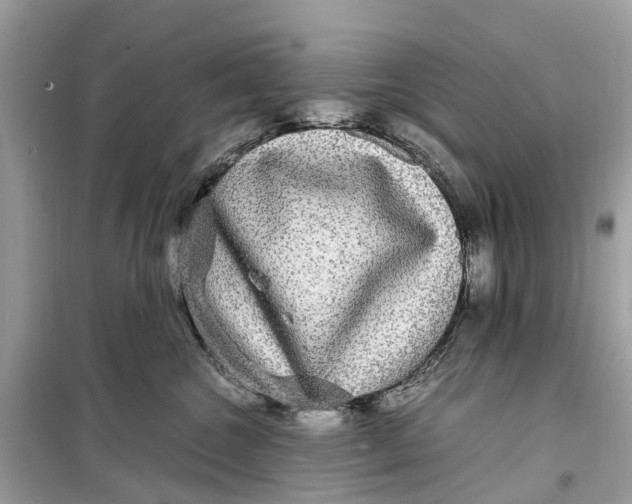 X0000099310572200805231406