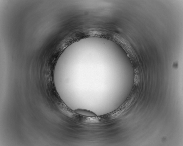 X0000099310573200805231406