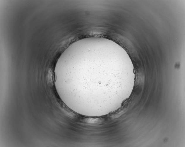 X0000099310575200805231406