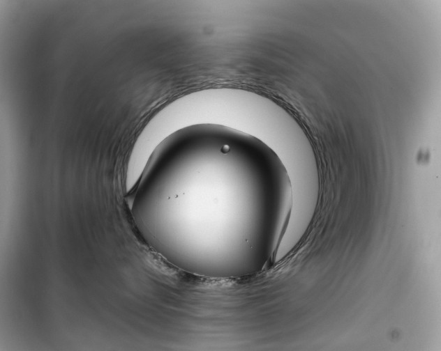 X0000099310576200805231406