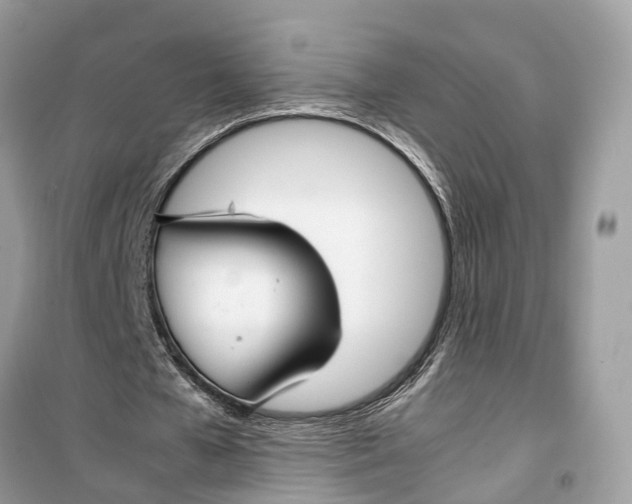 X0000099310577200805231405