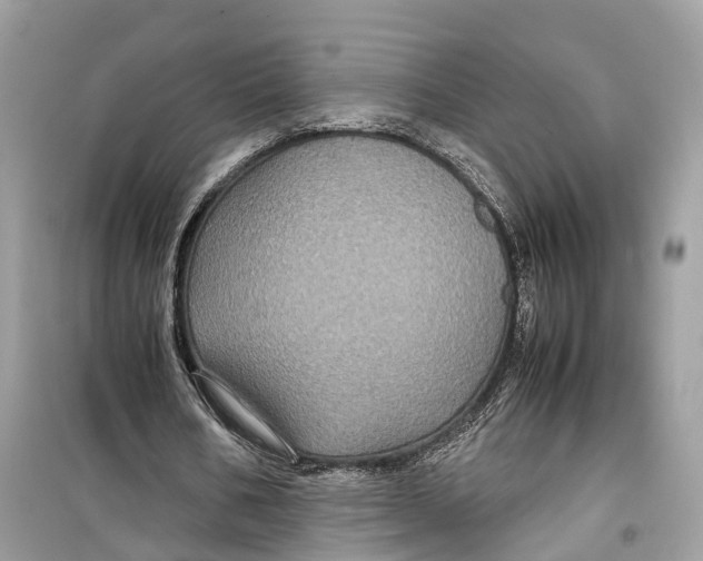 X0000099310578200805231405