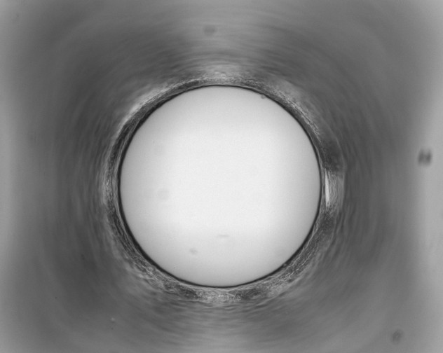 X0000099310579200805231405