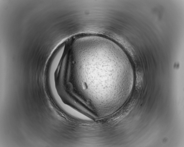 X0000099310580200805231405