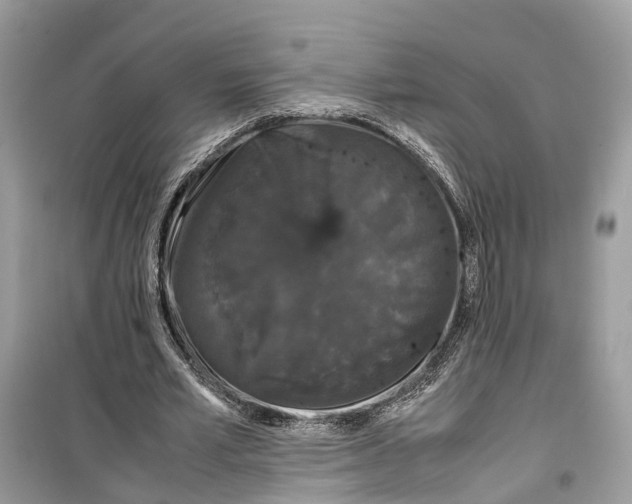 X0000099310581200805231405