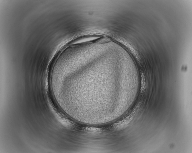 X0000099310582200805231405