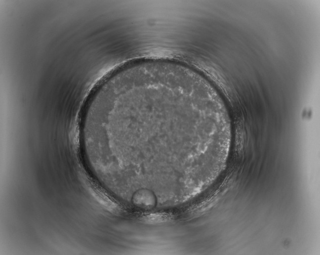 X0000099310584200805231405