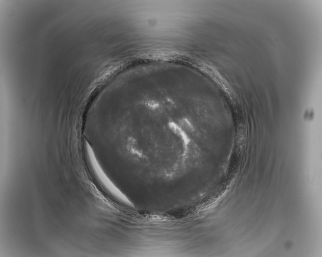 X0000099310585200805231405