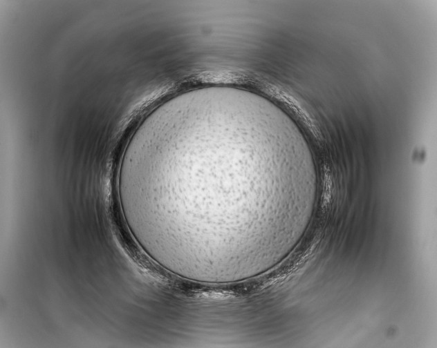 X0000099310586200805231405