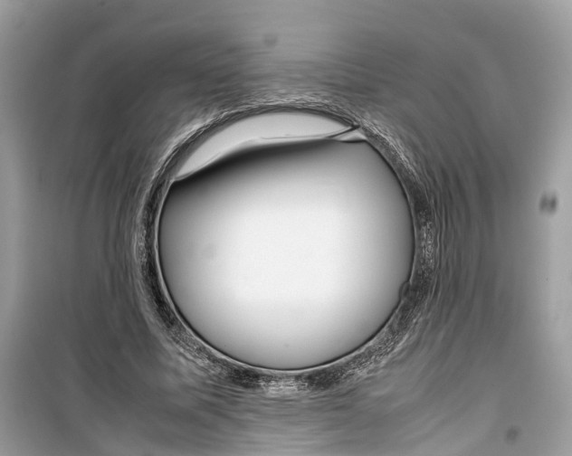 X0000099310587200805231405