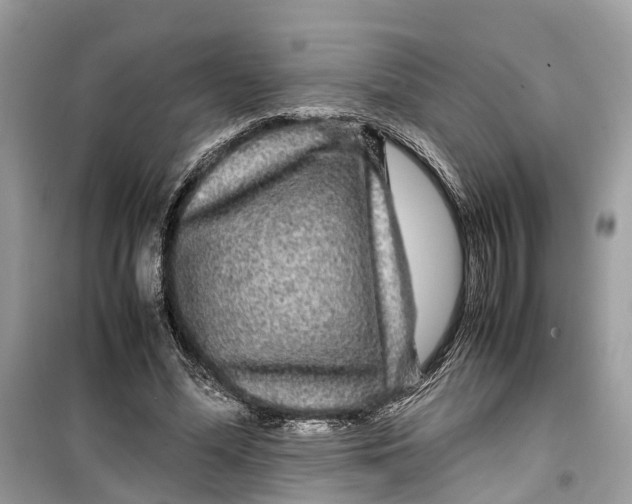 X0000099310588200805231405