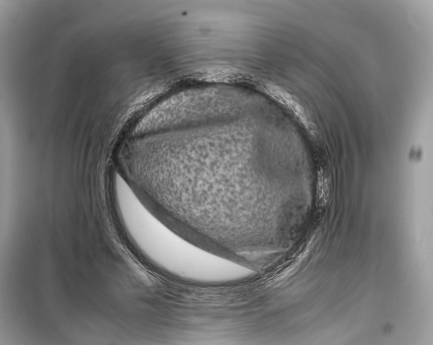 X0000099310589200805231405