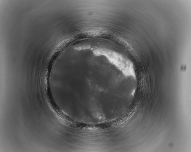 X0000099310590200805231405