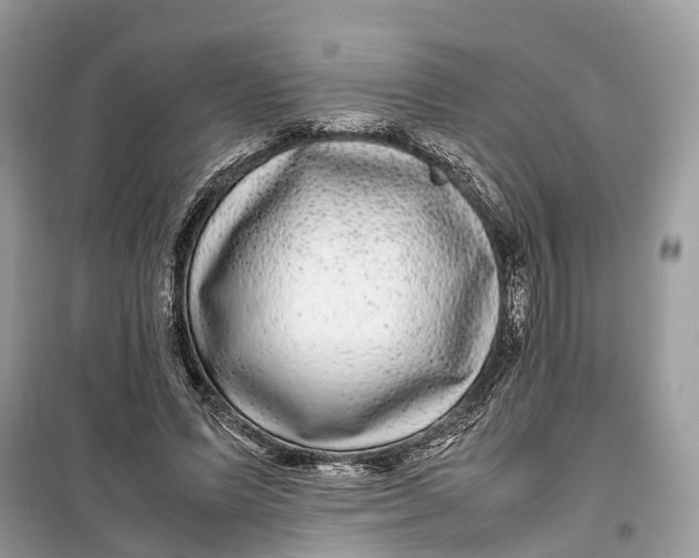 X0000099310591200805231405