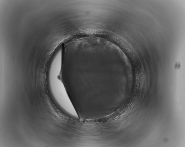 X0000099310592200805231405