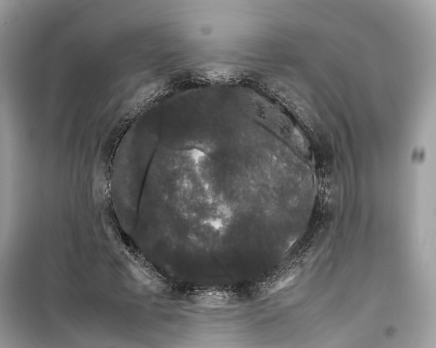 X0000099310593200805231405