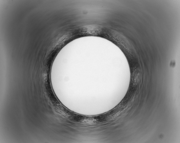 X0000099310595200805231405