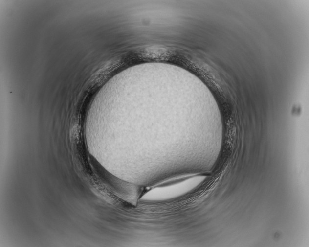 X0000099310597200805231405