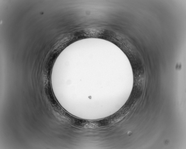 X0000099310599200805231405