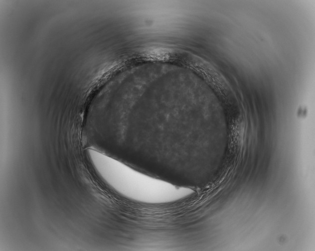 X0000099310600200805231405