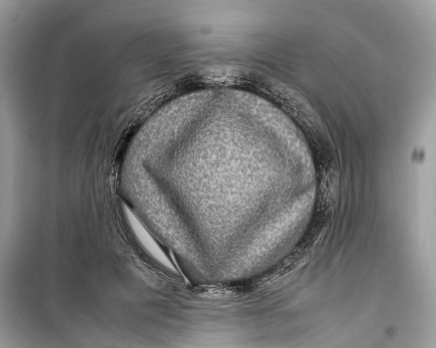 X0000099310601200805231405