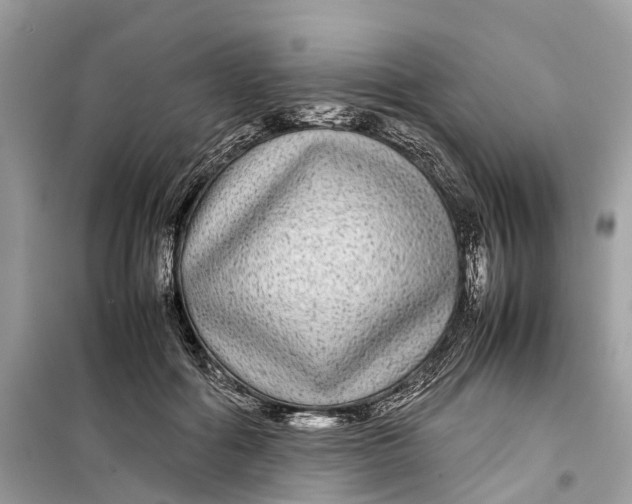 X0000099310602200805231405